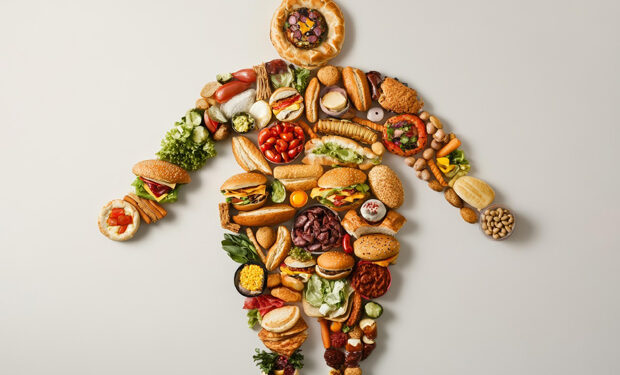 Understanding Hunger, Satiety, and Cravings